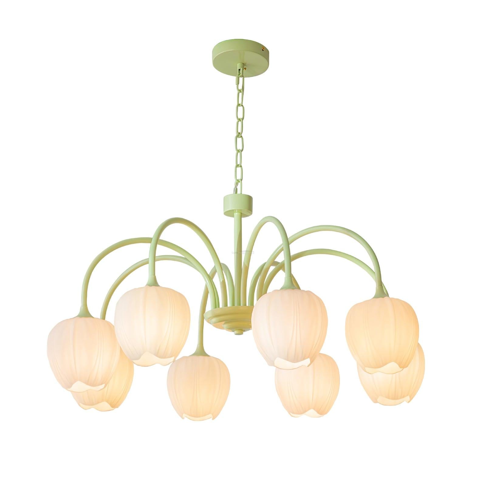 Tulip Matcha Chandelier with 5/6/8 heads - Luxehomezone