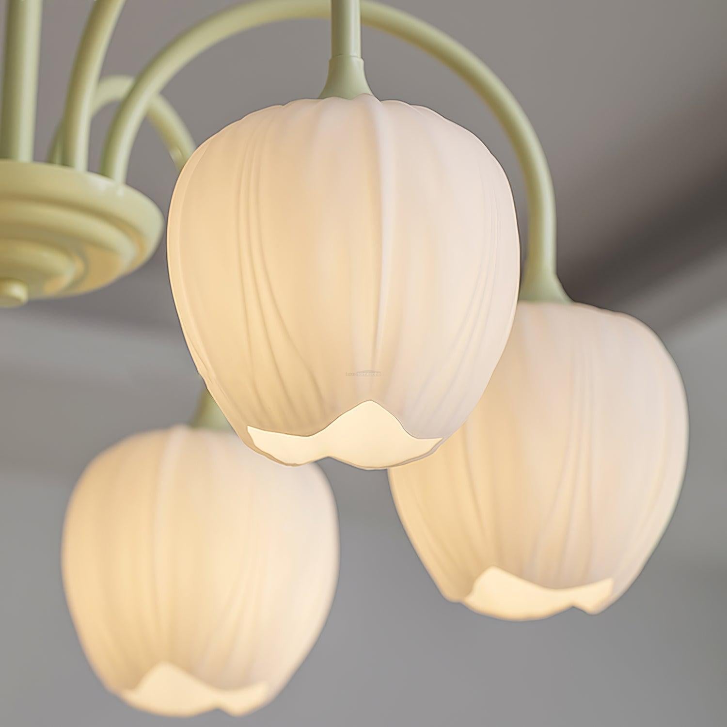 Tulip Matcha Chandelier with 5/6/8 heads - Luxehomezone