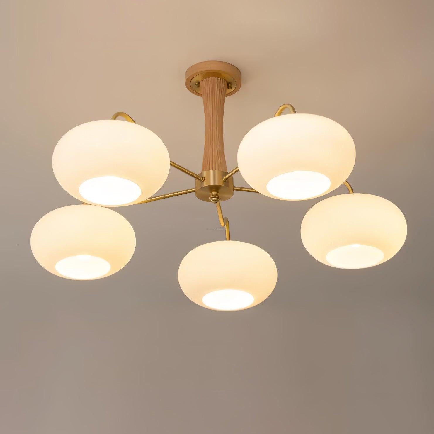 Brass Wooden Persimmon Ceiling Light For Living Room - Glass Chandelier, Persimmon, Semi Flush Mounts-1-Luxehomezone