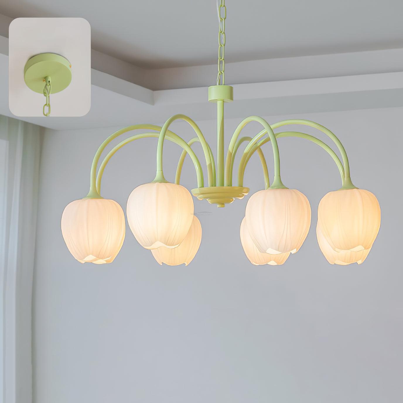 Tulip Matcha Chandelier with 5/6/8 heads - Luxehomezone