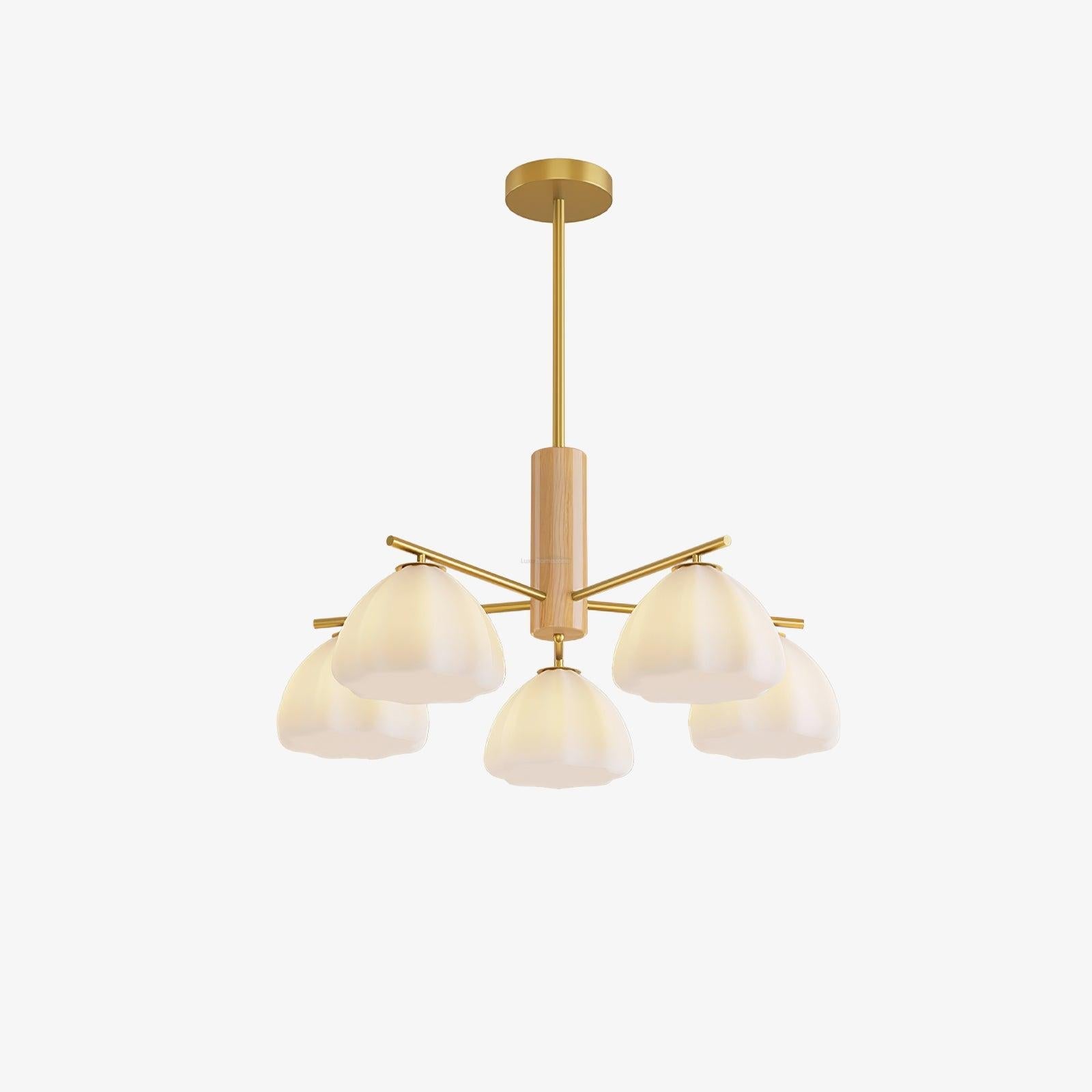 Little Clouds Round/Linear Chandelier - Zahara-1-Luxehomezone