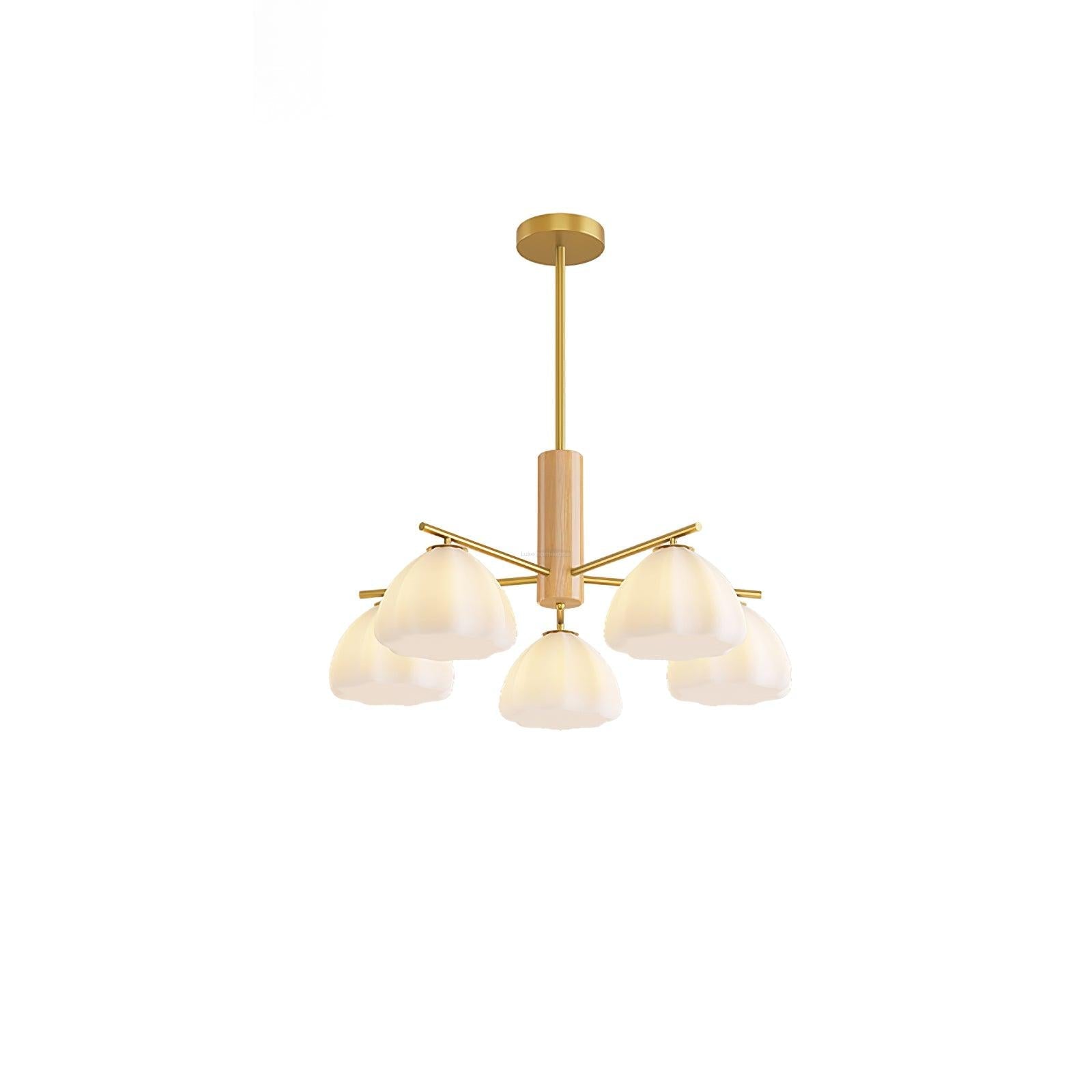 Little Clouds Round/Linear Chandelier - Zahara-1-Luxehomezone