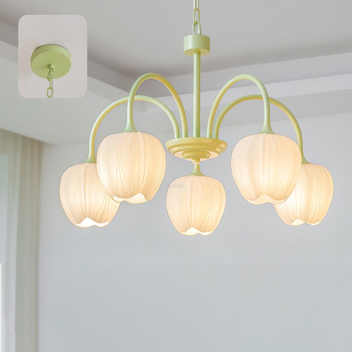 Tulip Matcha Chandelier with 5/6/8 heads - Luxehomezone