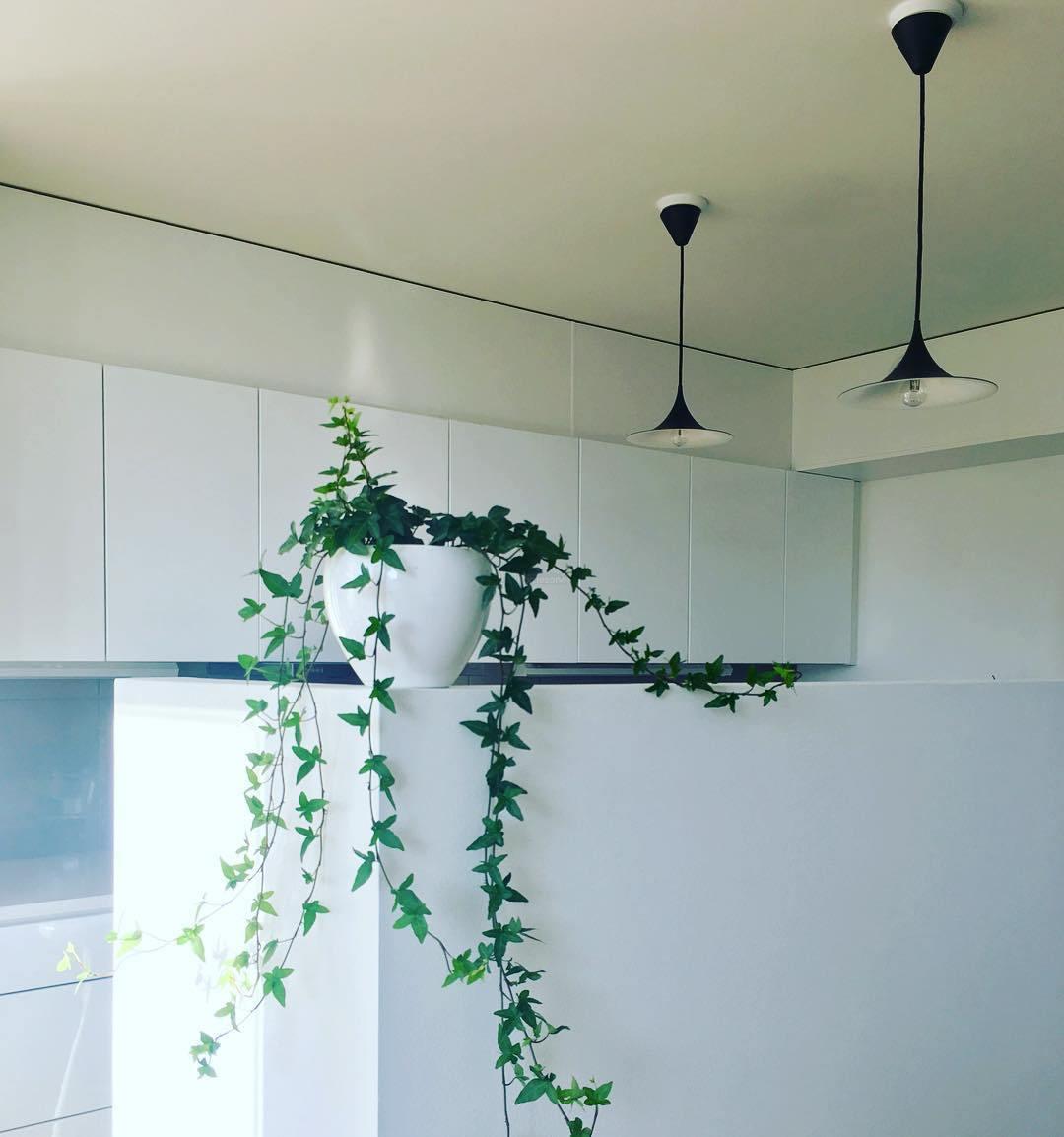 Semi Pendant - Luxehomezone
