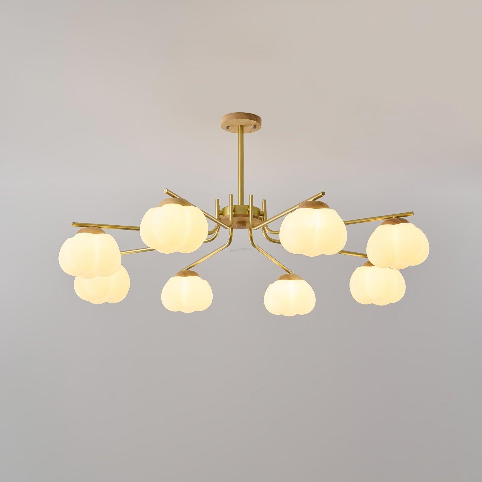 Plastic Cotton Balls Chandelier with 5/8 heads - Zahara-1-Luxehomezone