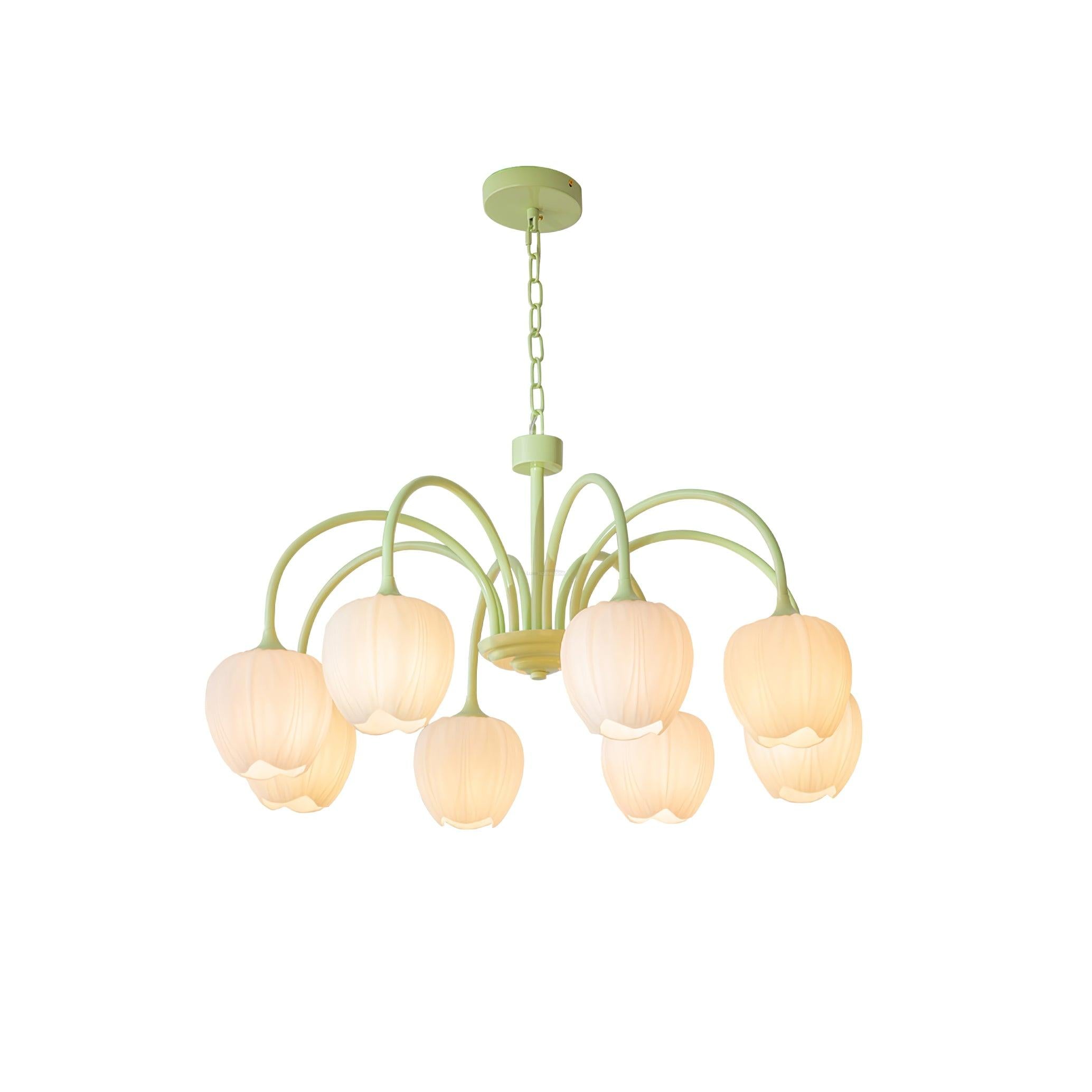 Tulip Matcha Chandelier with 5/6/8 heads - Luxehomezone