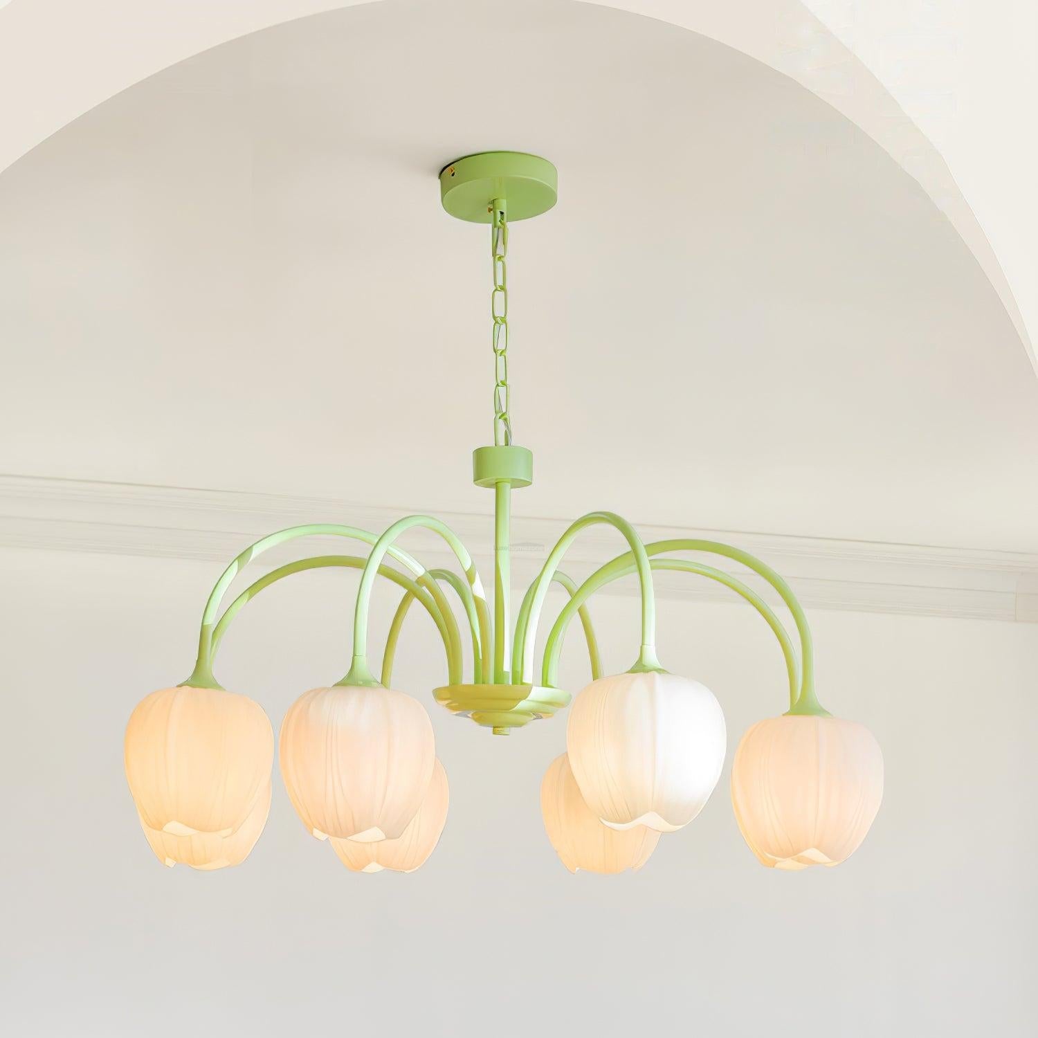Tulip Matcha Chandelier with 5/6/8 heads - Luxehomezone