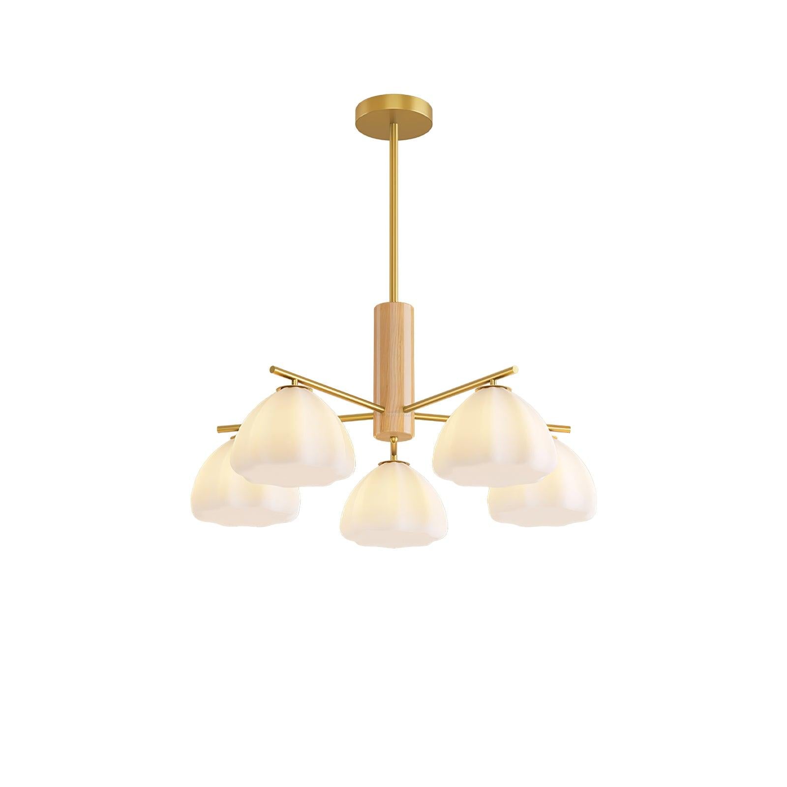 Little Clouds Round/Linear Chandelier - Zahara-1-Luxehomezone