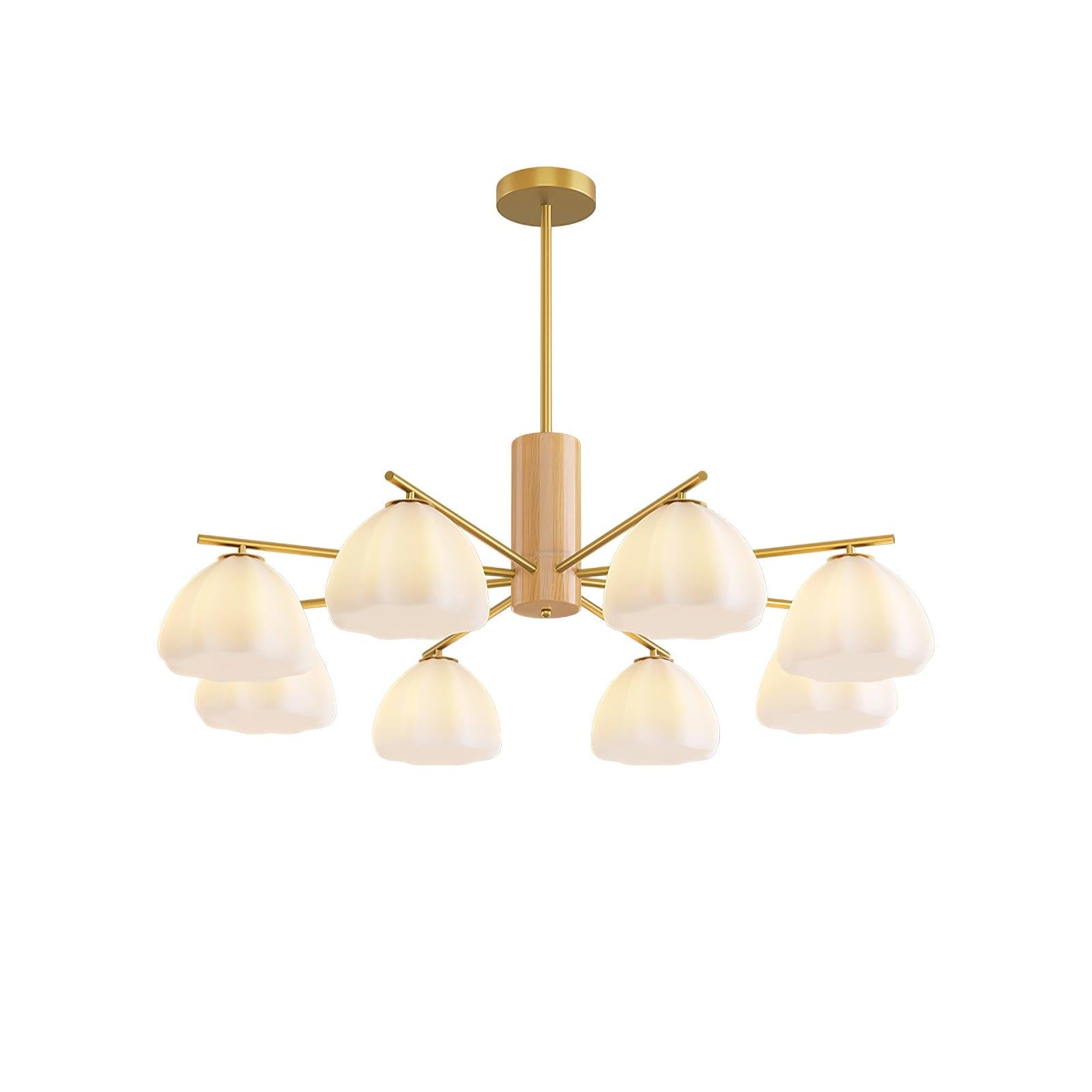 Little Clouds Round/Linear Chandelier - Zahara-1-Luxehomezone